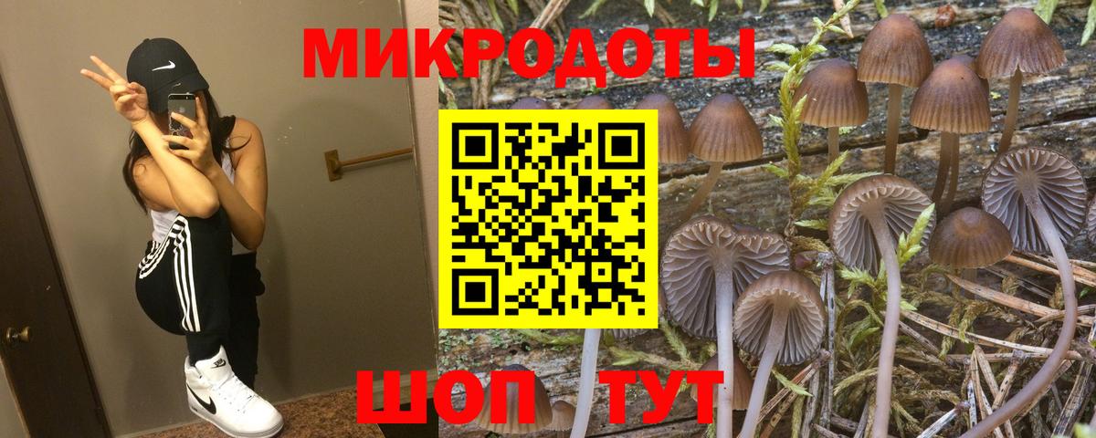 Галлюциногенные грибы Psilocybine cubensis  Вход с VPN  Псилоцибиновые грибы Magic Shrooms  Бирск 